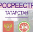 Росреестр Татарстана о продлении «дачной амнистии» на телеканале «Татарстан 24» - Лениногорский район