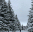 Прогноз погоды на 27 февраля для лениногорцев - Лениногорский район