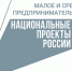 Нацпроект МСП поможет предпринимателям Татарстана повысить квалификацию по работе на маркетплейсах - Лениногорский район