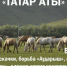 «Скачки и борьба на лошадях»: в Татарстане пройдет фестиваль «Татар аты» - Лениногорские вести