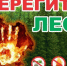 Штормовое предупреждение о высокой и чрезвычайной пожарной опасности лесов на территории Республики Татарстан - Лениногорский район