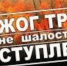 Правила уборки мусора на приусадебном участке или даче - Лениногорский район