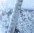 Экстренное предупреждение на 16.01.2026 г - Лениногорский район
