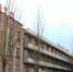 Лениногорский врач-фтизиатр рассказала о важности для детей прививки БЦЖ - Лениногорские вести