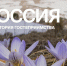 Автопутешествия по России: свобода, комфорт и яркие открытия - Лениногорские вести
